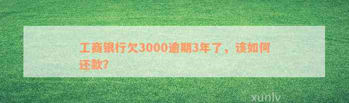 工商银行欠3000逾期3年了，该如何还款？