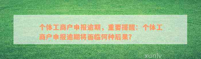 个体工商户申报逾期，重要提醒：个体工商户申报逾期将面临何种后果？