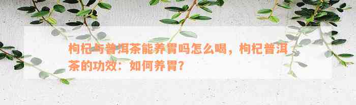 枸杞与普洱茶能养胃吗怎么喝，枸杞普洱茶的功效：如何养胃？