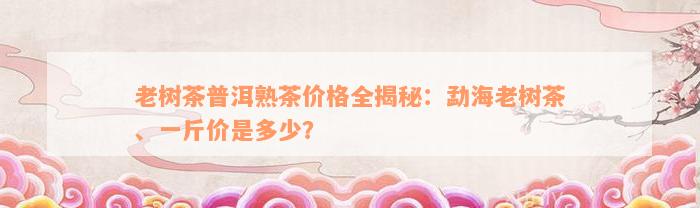 老树茶普洱熟茶价格全揭秘：勐海老树茶、一斤价是多少？