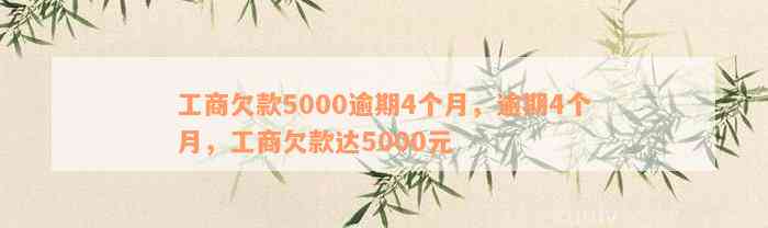 工商欠款5000逾期4个月，逾期4个月，工商欠款达5000元