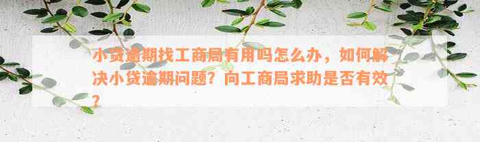 小贷逾期找工商局有用吗怎么办，如何解决小贷逾期问题？向工商局求助是否有效？