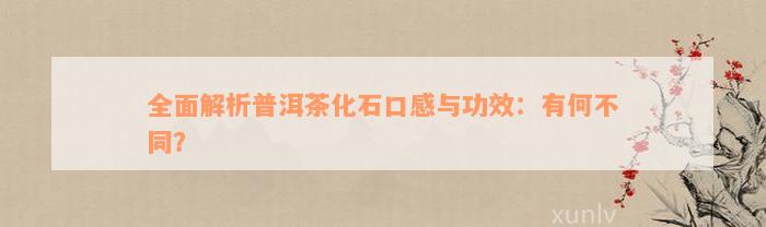 全面解析普洱茶化石口感与功效：有何不同？