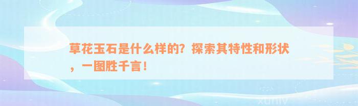 草花玉石是什么样的？探索其特性和形状，一图胜千言！