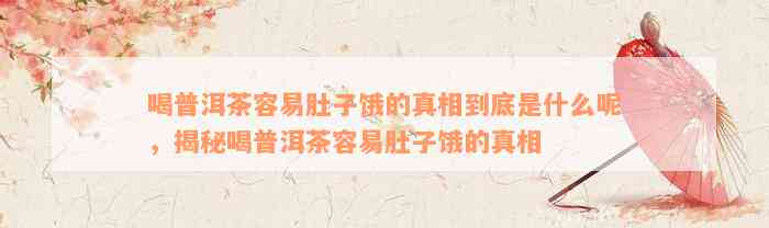 喝普洱茶容易肚子饿的真相到底是什么呢，揭秘喝普洱茶容易肚子饿的真相