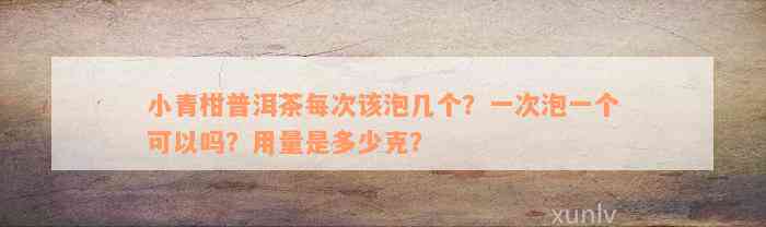 小青柑普洱茶每次该泡几个？一次泡一个可以吗？用量是多少克？