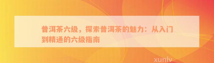 普洱茶六级，探索普洱茶的魅力：从入门到精通的六级指南