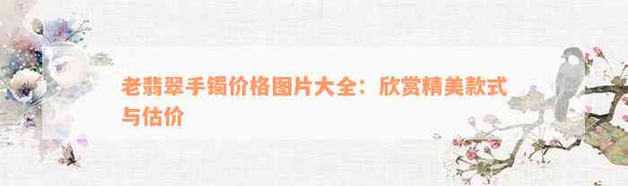 老翡翠手镯价格图片大全：欣赏精美款式与估价