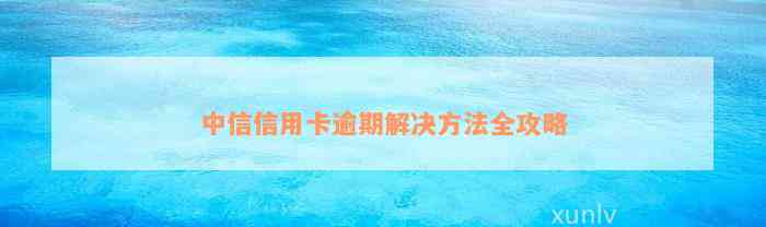 中信信用卡逾期解决方法全攻略