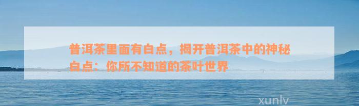 普洱茶里面有白点，揭开普洱茶中的神秘白点：你所不知道的茶叶世界