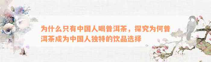 为什么只有中国人喝普洱茶，探究为何普洱茶成为中国人独特的饮品选择