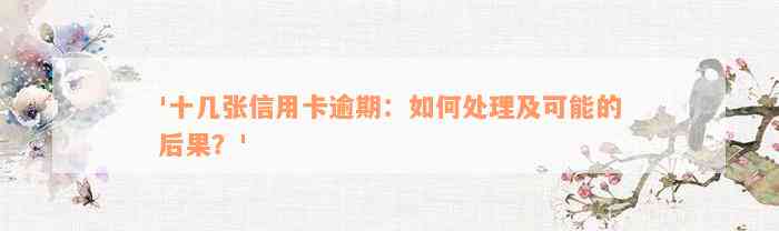 '十几张信用卡逾期：如何处理及可能的后果？'