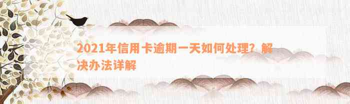 2021年信用卡逾期一天如何处理？解决办法详解