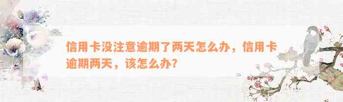 信用卡没注意逾期了两天怎么办，信用卡逾期两天，该怎么办？