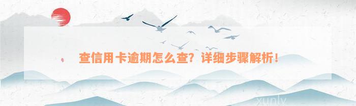 查信用卡逾期怎么查？详细步骤解析！