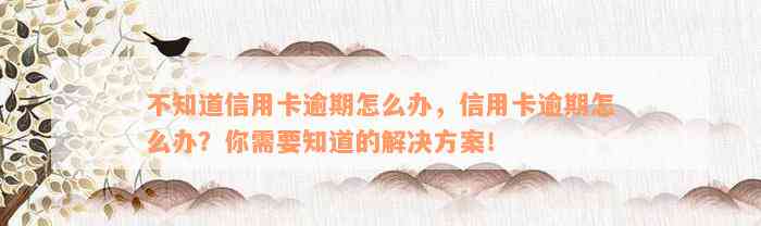 不知道信用卡逾期怎么办，信用卡逾期怎么办？你需要知道的解决方案！