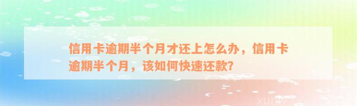 信用卡逾期半个月才还上怎么办，信用卡逾期半个月，该如何快速还款？