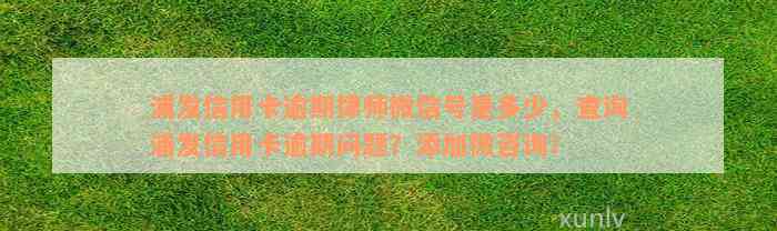 浦发信用卡逾期律师微信号是多少，查询浦发信用卡逾期问题？添加微咨询！