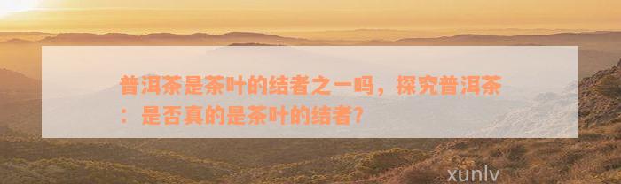 普洱茶是茶叶的结者之一吗，探究普洱茶：是否真的是茶叶的结者？