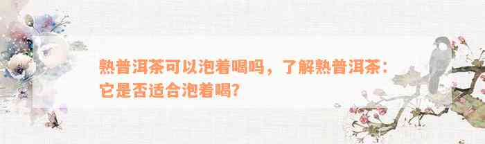 熟普洱茶可以泡着喝吗，了解熟普洱茶：它是否适合泡着喝？