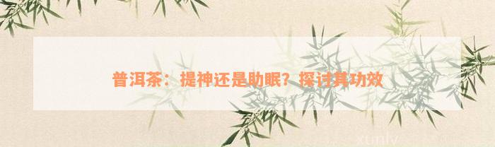 普洱茶：提神还是助眠？探讨其功效