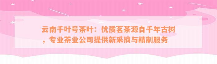 云南千叶号茶叶：优质茗茶源自千年古树，专业茶业公司提供新采摘与精制服务