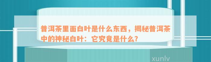 普洱茶里面白叶是什么东西，揭秘普洱茶中的神秘白叶：它究竟是什么？