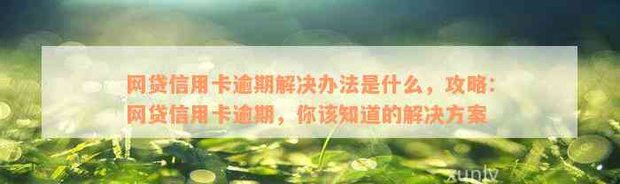 网贷信用卡逾期解决办法是什么，攻略：网贷信用卡逾期，你该知道的解决方案