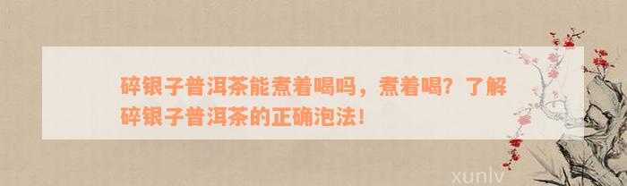 碎银子普洱茶能煮着喝吗，煮着喝？了解碎银子普洱茶的正确泡法！