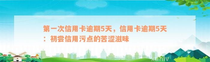 第一次信用卡逾期5天，信用卡逾期5天：初尝信用污点的苦涩滋味