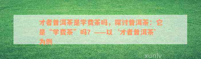 才者普洱茶是学费茶吗，探讨普洱茶：它是“学费茶”吗？——以‘才者普洱茶’为例