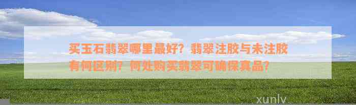 买玉石翡翠哪里最好？翡翠注胶与未注胶有何区别？何处购买翡翠可确保真品？