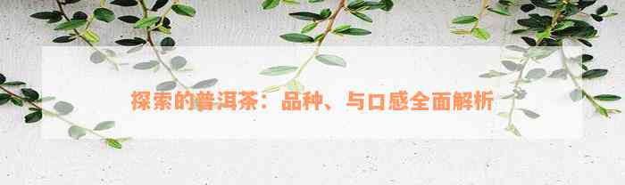 探索的普洱茶：品种、与口感全面解析