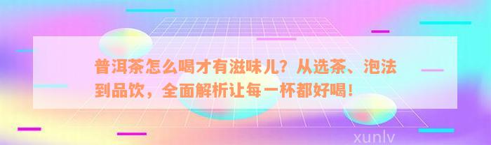 普洱茶怎么喝才有滋味儿？从选茶、泡法到品饮，全面解析让每一杯都好喝！