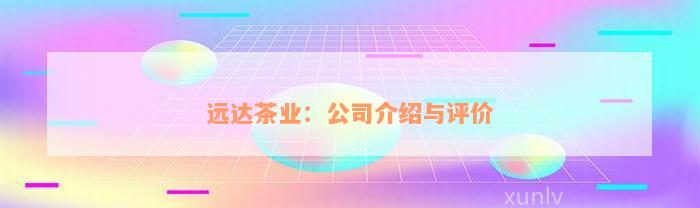 远达茶业：公司介绍与评价