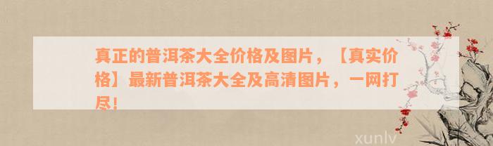 真正的普洱茶大全价格及图片，【真实价格】最新普洱茶大全及高清图片，一网打尽！