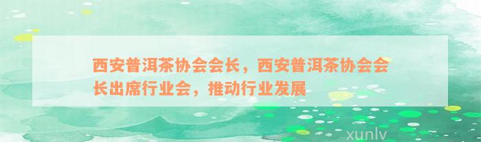 西安普洱茶协会会长，西安普洱茶协会会长出席行业会，推动行业发展