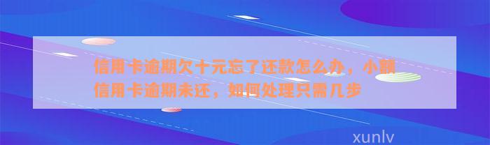 信用卡逾期欠十元忘了还款怎么办，小额信用卡逾期未还，如何处理只需几步