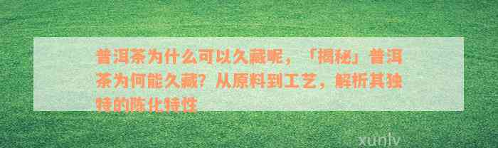 普洱茶为什么可以久藏呢，「揭秘」普洱茶为何能久藏？从原料到工艺，解析其独特的陈化特性