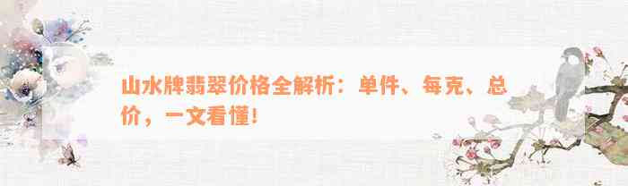 山水牌翡翠价格全解析：单件、每克、总价，一文看懂！