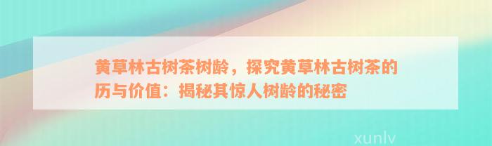 黄草林古树茶树龄，探究黄草林古树茶的历与价值：揭秘其惊人树龄的秘密