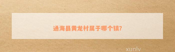 通海县黄龙村属于哪个镇？