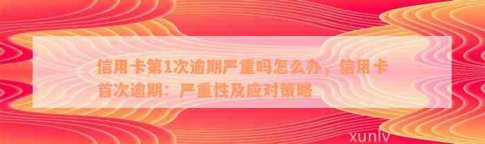 信用卡第1次逾期严重吗怎么办，信用卡首次逾期：严重性及应对策略