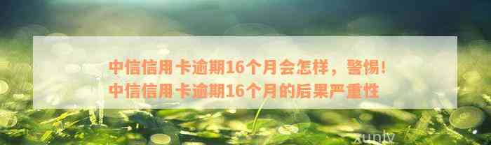 中信信用卡逾期16个月会怎样，警惕！中信信用卡逾期16个月的后果严重性