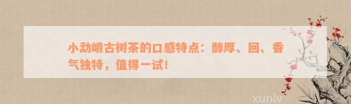 小勐峨古树茶的口感特点：醇厚、回、香气独特，值得一试！