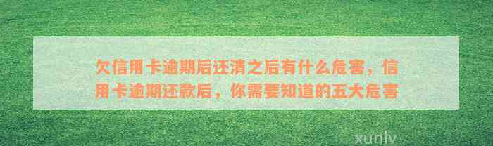 欠信用卡逾期后还清之后有什么危害，信用卡逾期还款后，你需要知道的五大危害