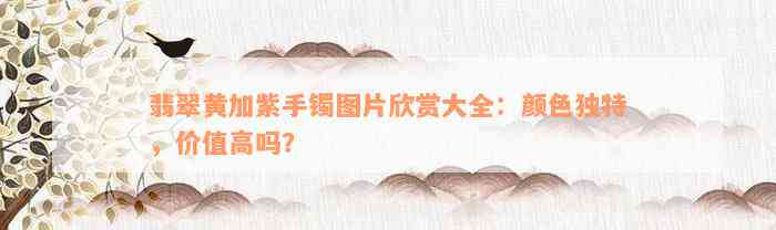 翡翠黄加紫手镯图片欣赏大全：颜色独特，价值高吗？