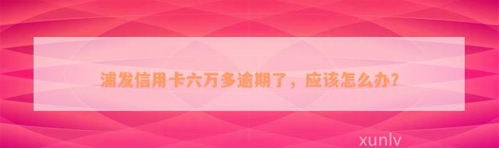 浦发信用卡六万多逾期了，应该怎么办？