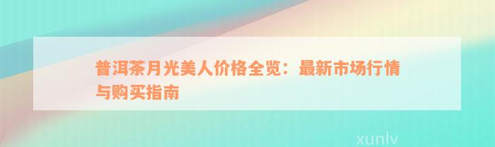 普洱茶月光美人价格全览：最新市场行情与购买指南