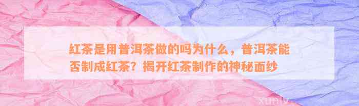 红茶是用普洱茶做的吗为什么，普洱茶能否制成红茶？揭开红茶制作的神秘面纱